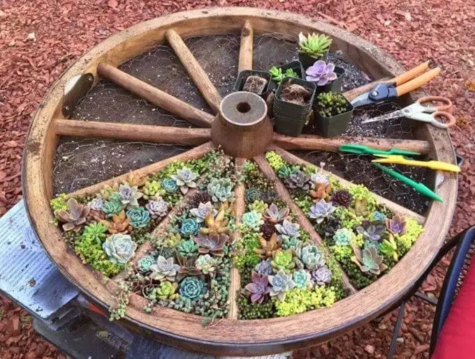 Wagon Wheel Garden - best Garden Ideas