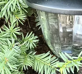 the best way to restore outdoor solar pathway lights, A painted solar light tucked beside a green bush