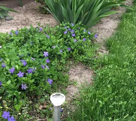 very sturdy but cute hose guards